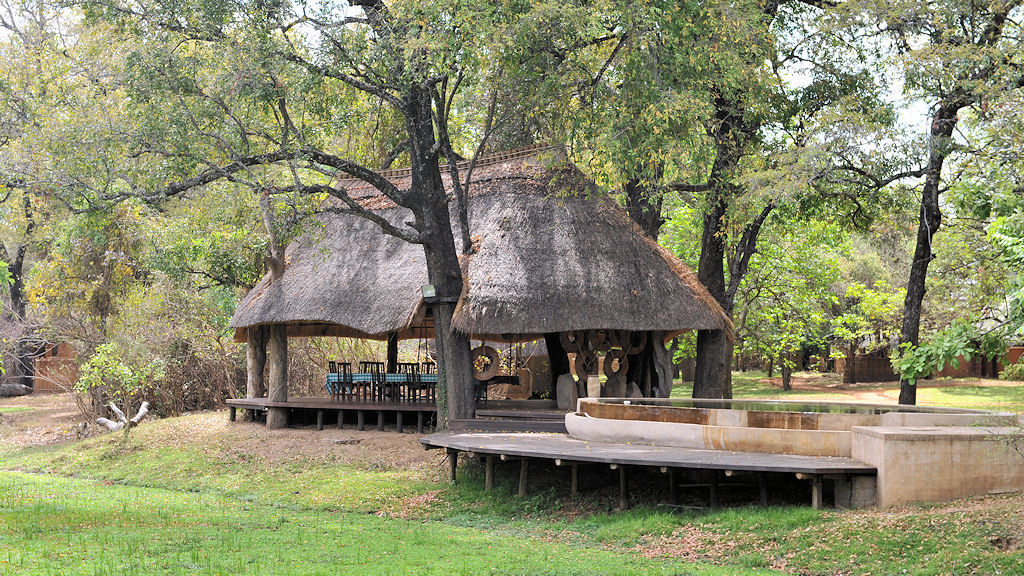 Restaurantgebäude und Pool
im Nkwali Camp, South Luangwa
6223