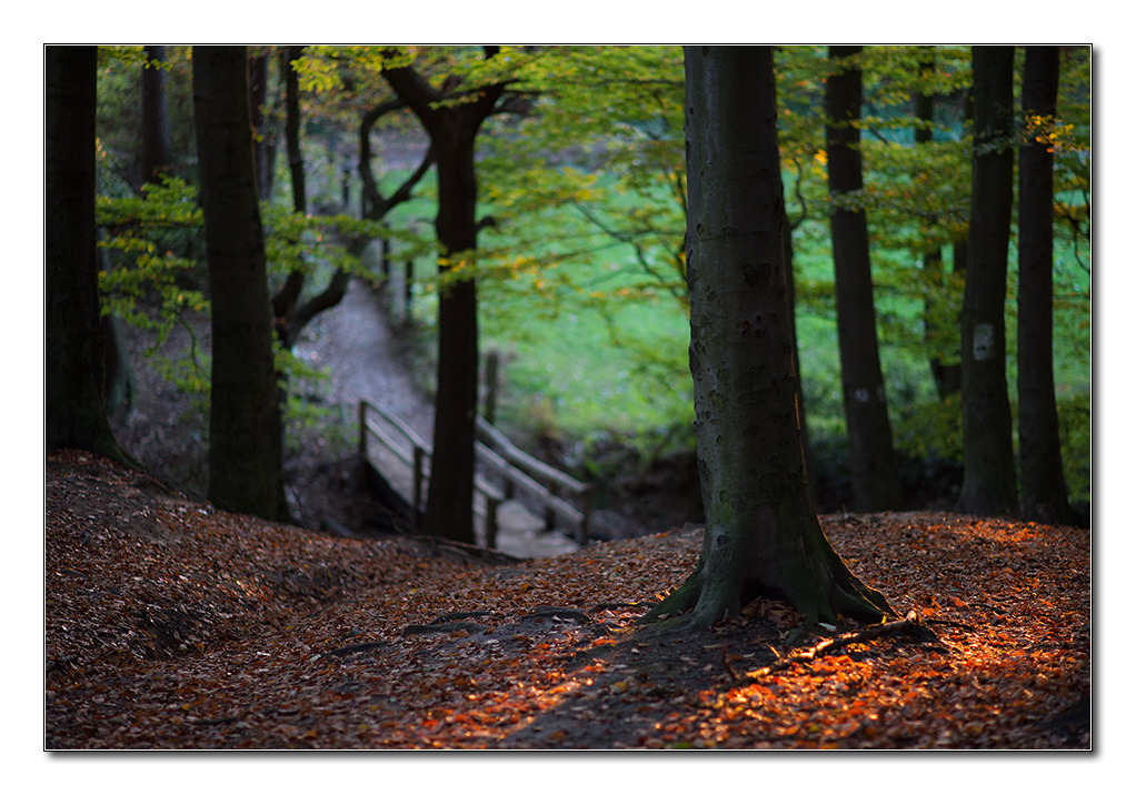 restlicht1