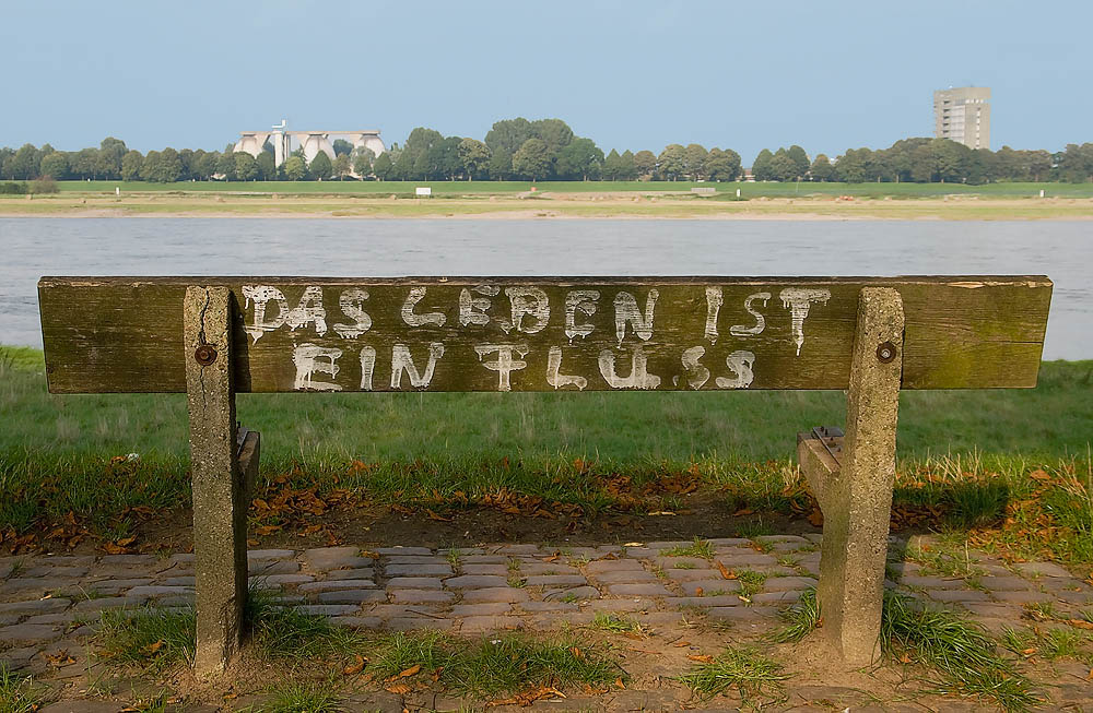 Rhein 6