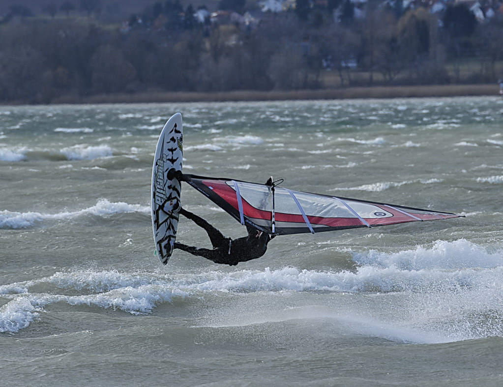 rhein surfer2