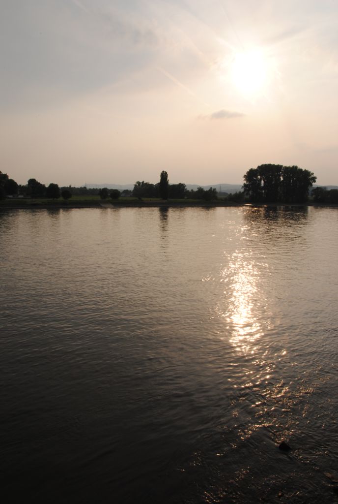 Rhein