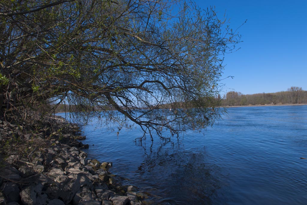 Rhein25.03.12