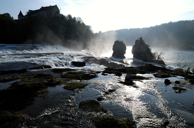 Rheinfall   Burg Laufen