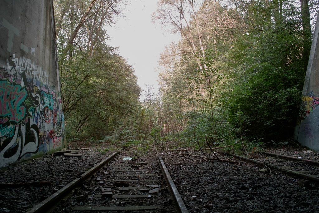 Rheinische Bahn