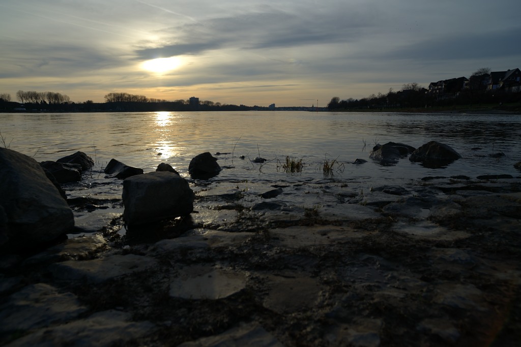 Rheintour 20140223