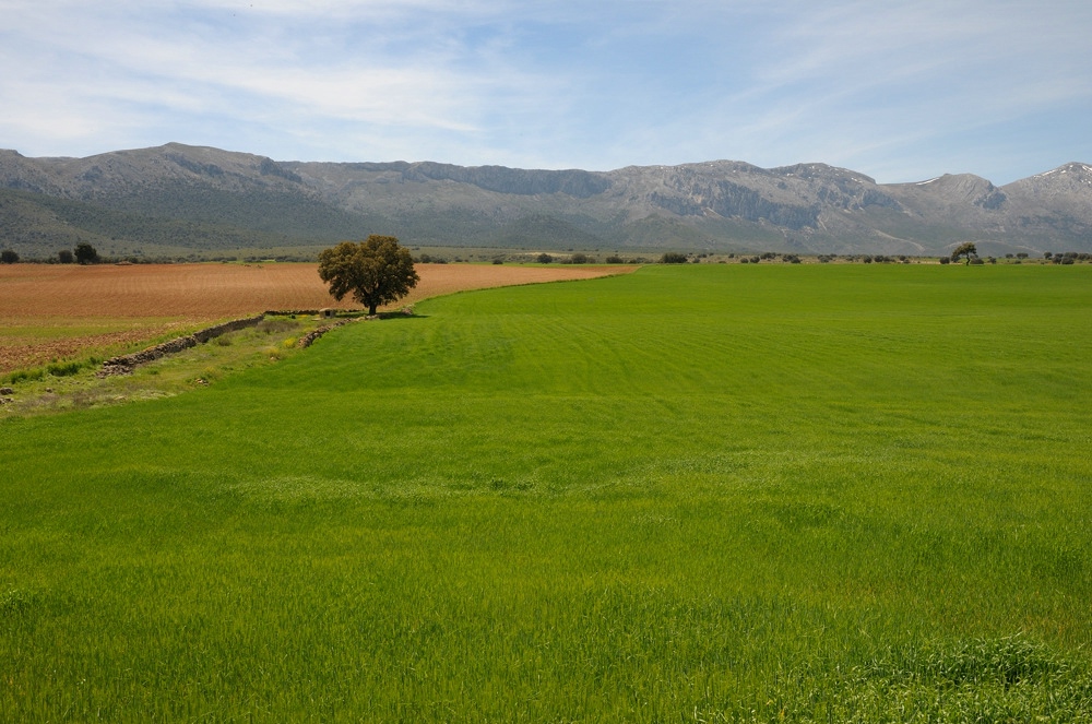 Richtung Almeria