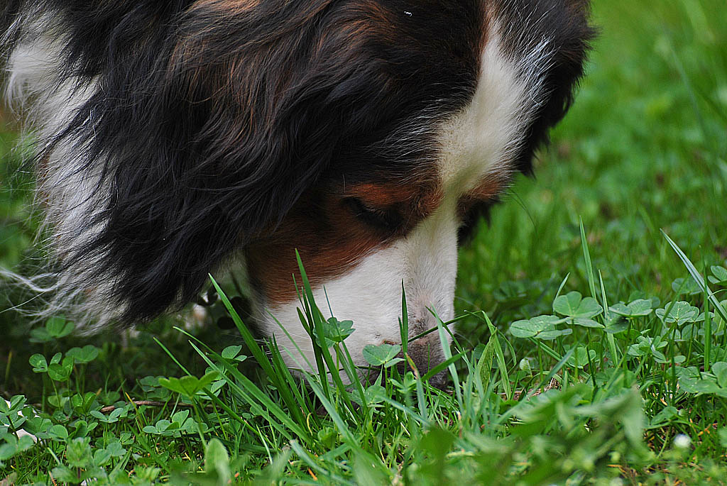 Riecht lecker