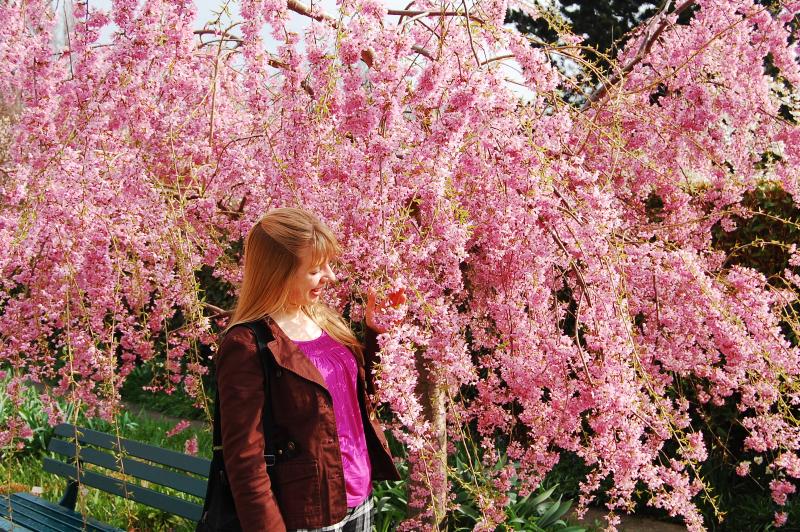 Rike unter der Magnolie