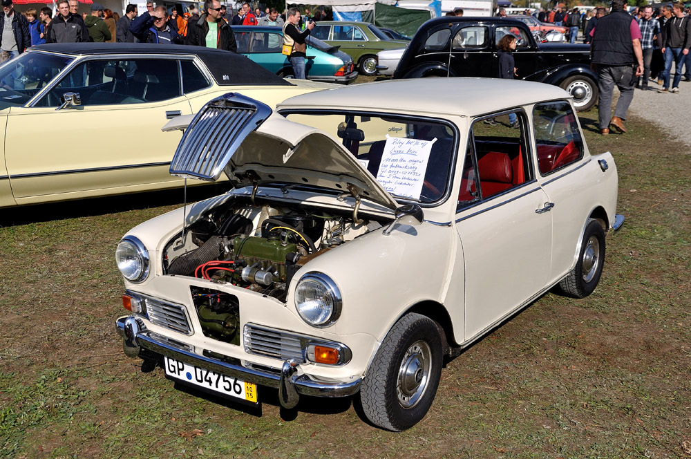 Riley Elf MkIII [DSC_1942]