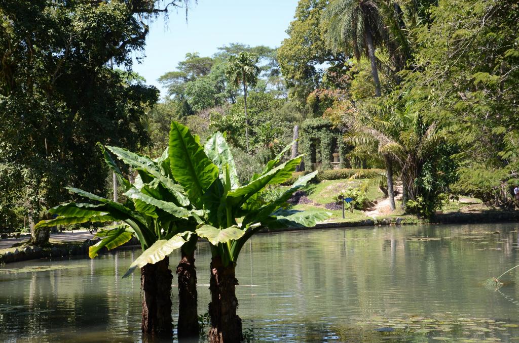 Rio de Janeiro, Jardim Botanico