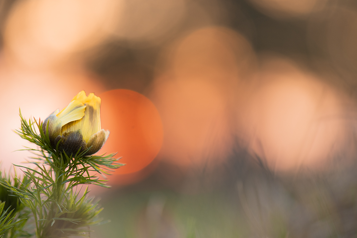 rk_20190331_505668.jpg