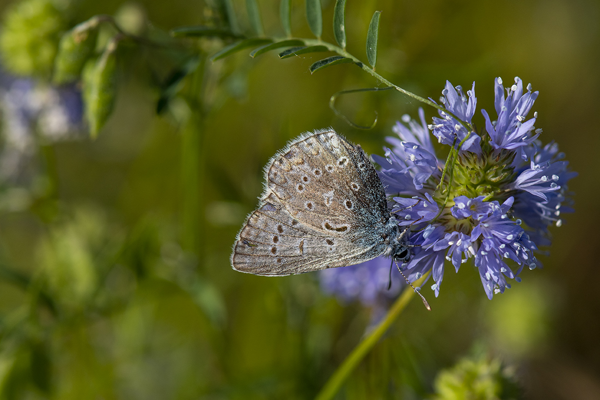rk_20190617_506418.jpg