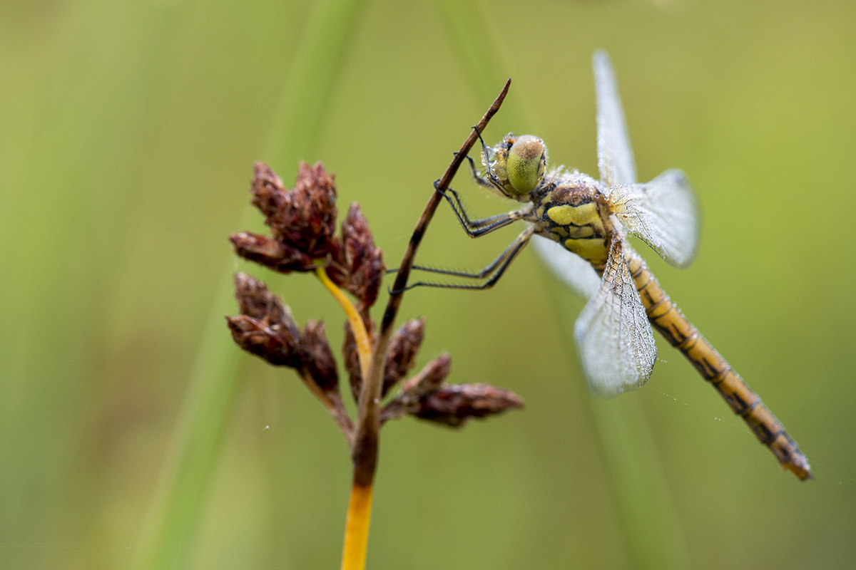 rk_20190716_506901.jpg