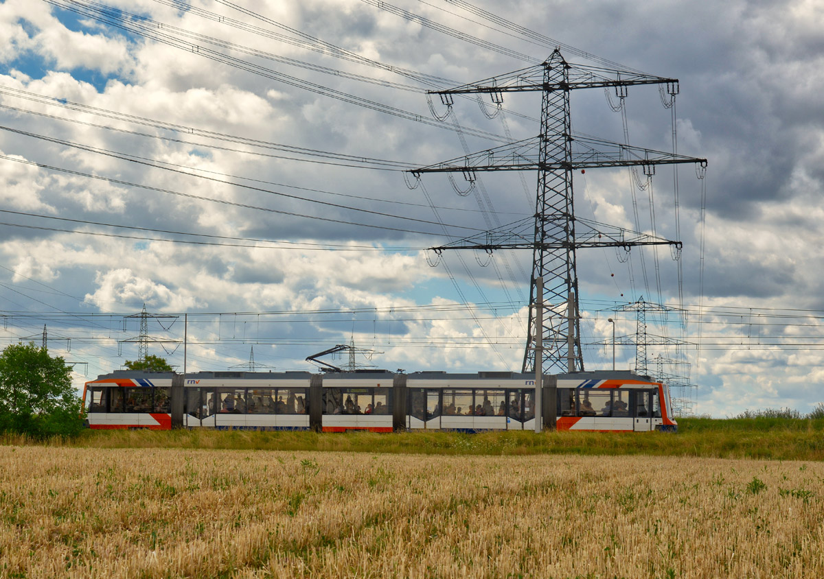rnf_1202.jpg