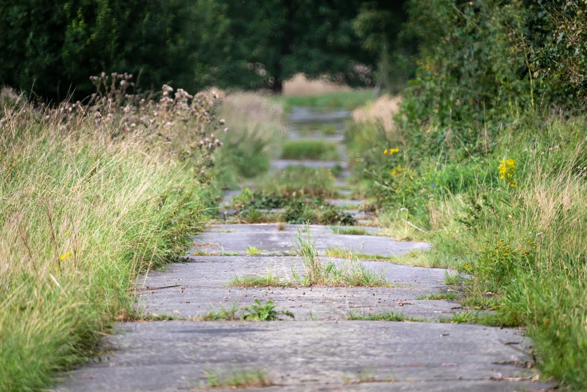 Road to nowhere.jpg