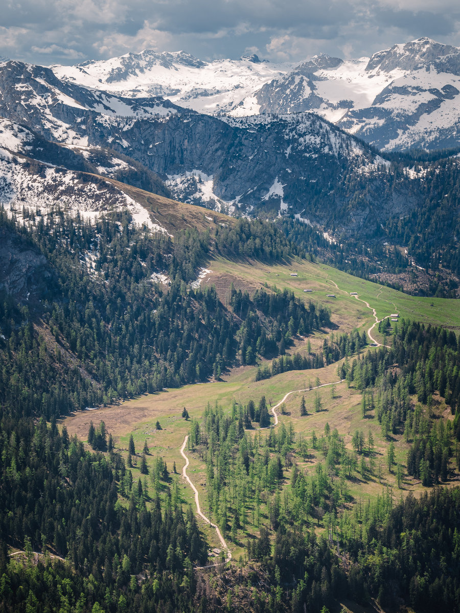 Road to the Mountain Meadows