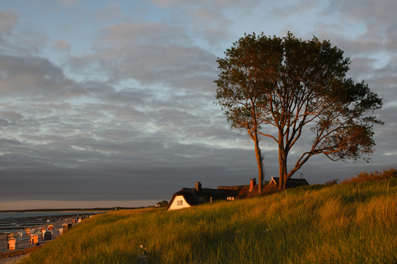 Robert Waleczek Abend in Ahrenshoop Nikon