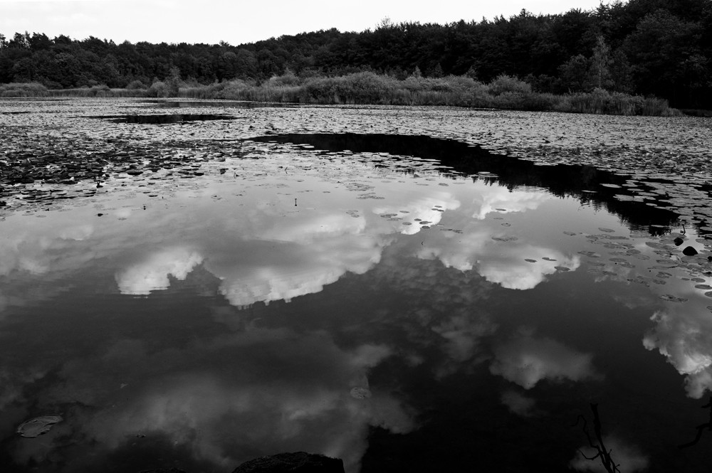 Roikiersee - hat in monochrom ein besonderes Flair