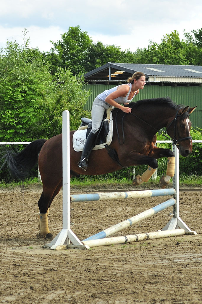 Rolf springt (MHX4008Hfx)