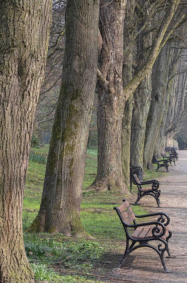 Romberg-Park Dortmund