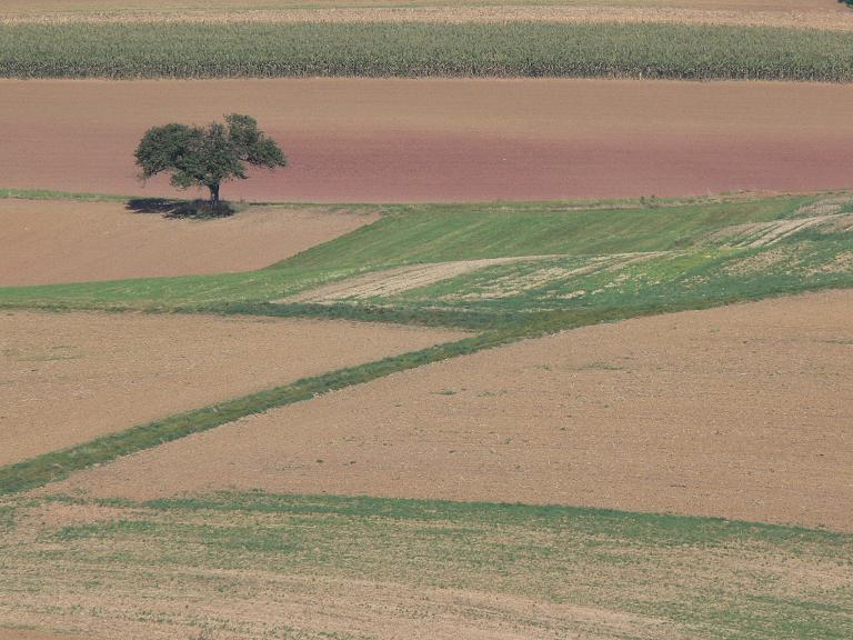 Ronneburg 09.06 042