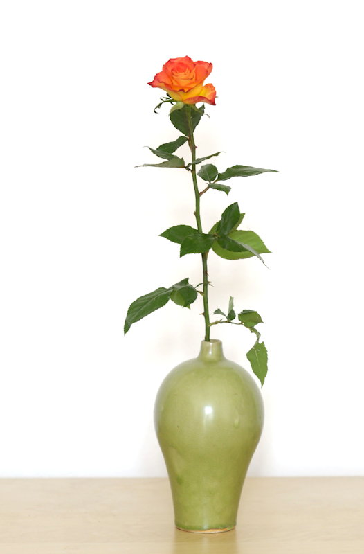 Rose 2