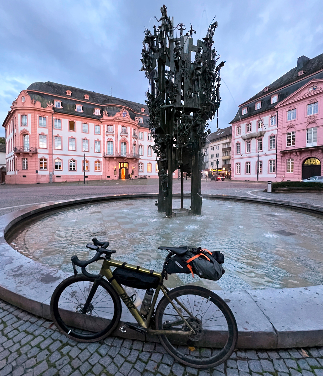 Rose am Fastnachtsbrunnen