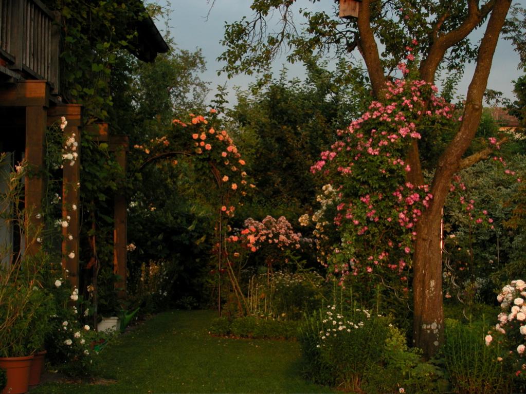 rosengarten