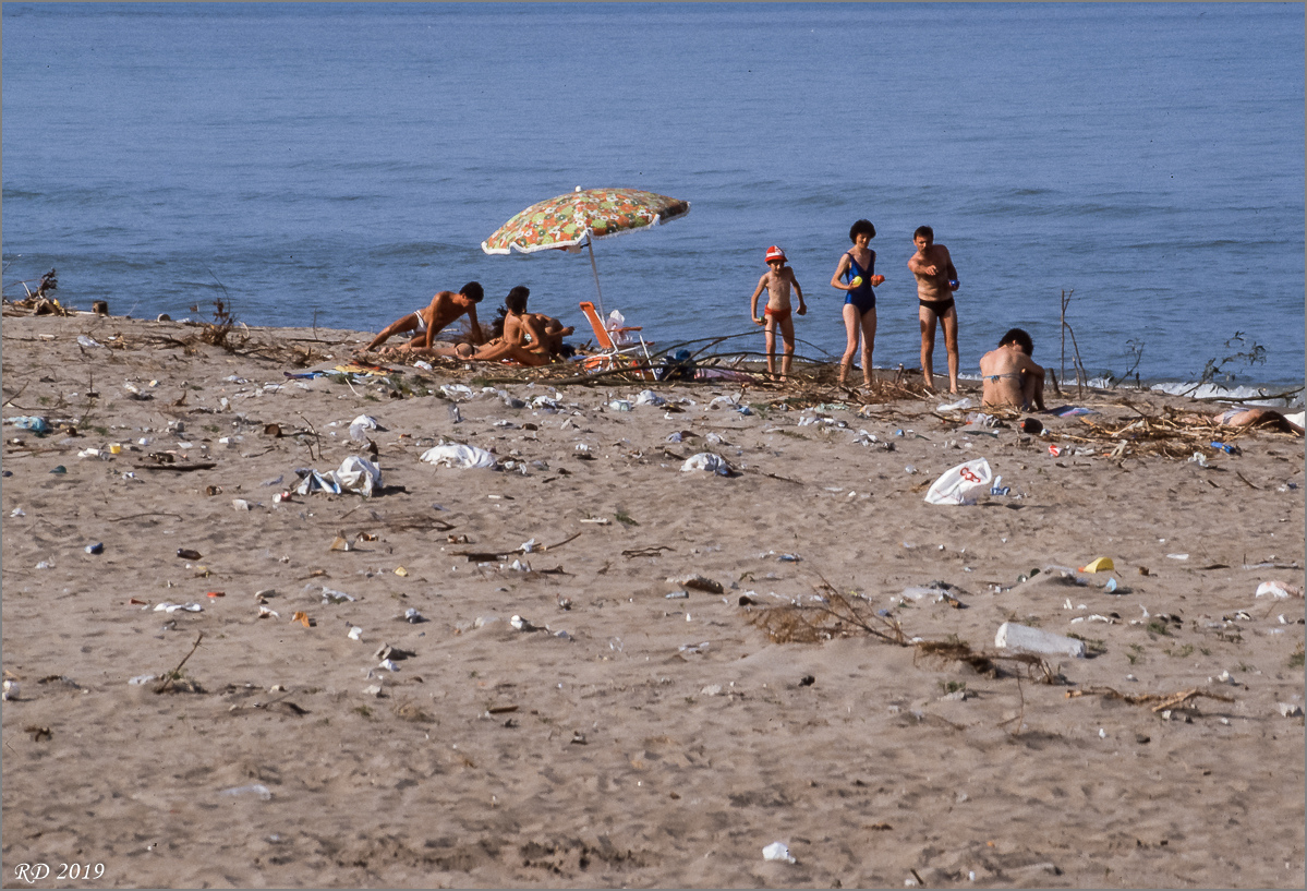 Rosolina055.jpg