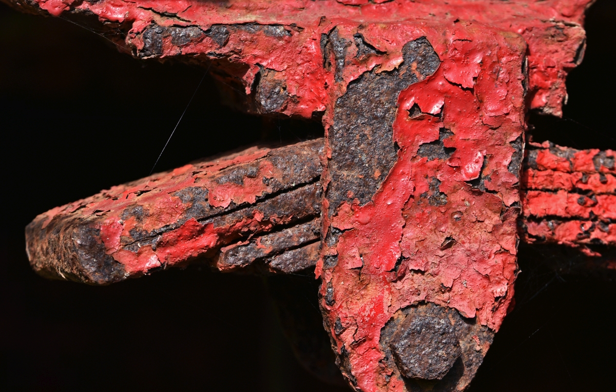 rost.jpg