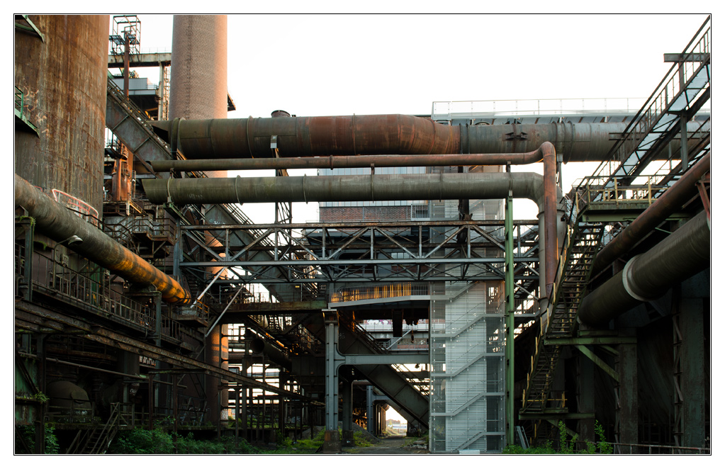 rost5