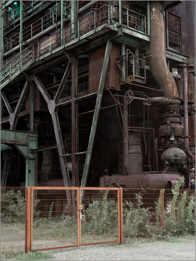 rost8