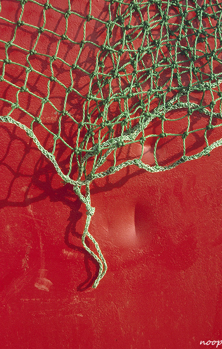 rot grün1 Kopie