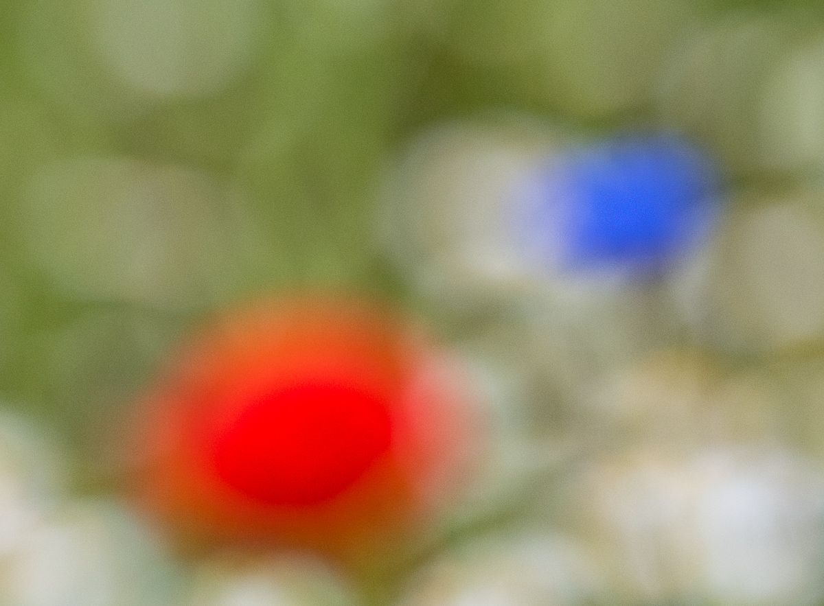 rot weiß blau 0660
