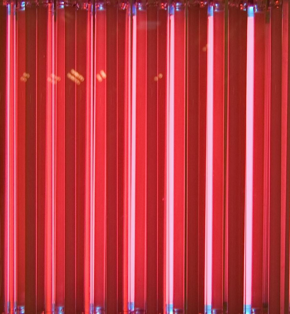 Rot