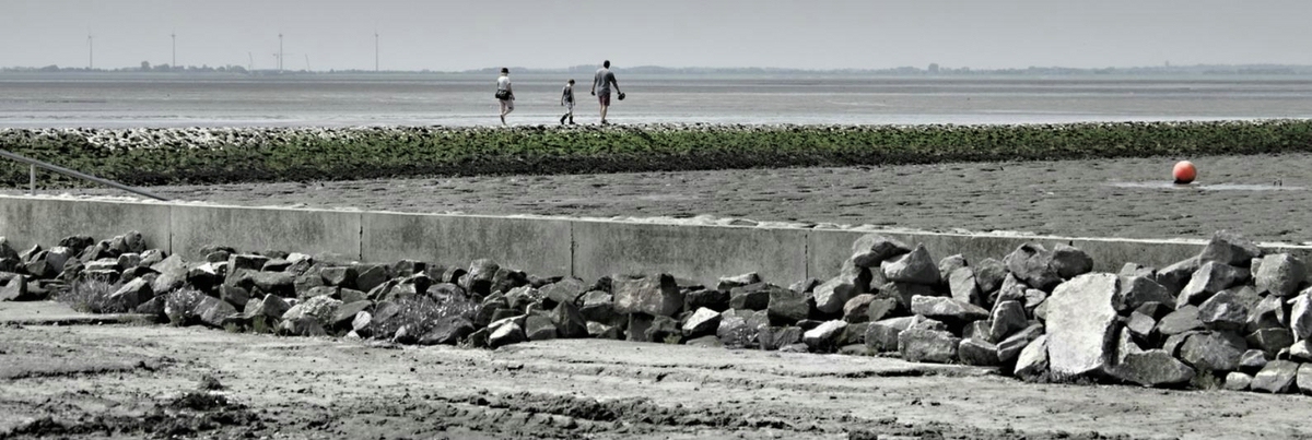Rote Boje am grünen Schutzwall.jpg