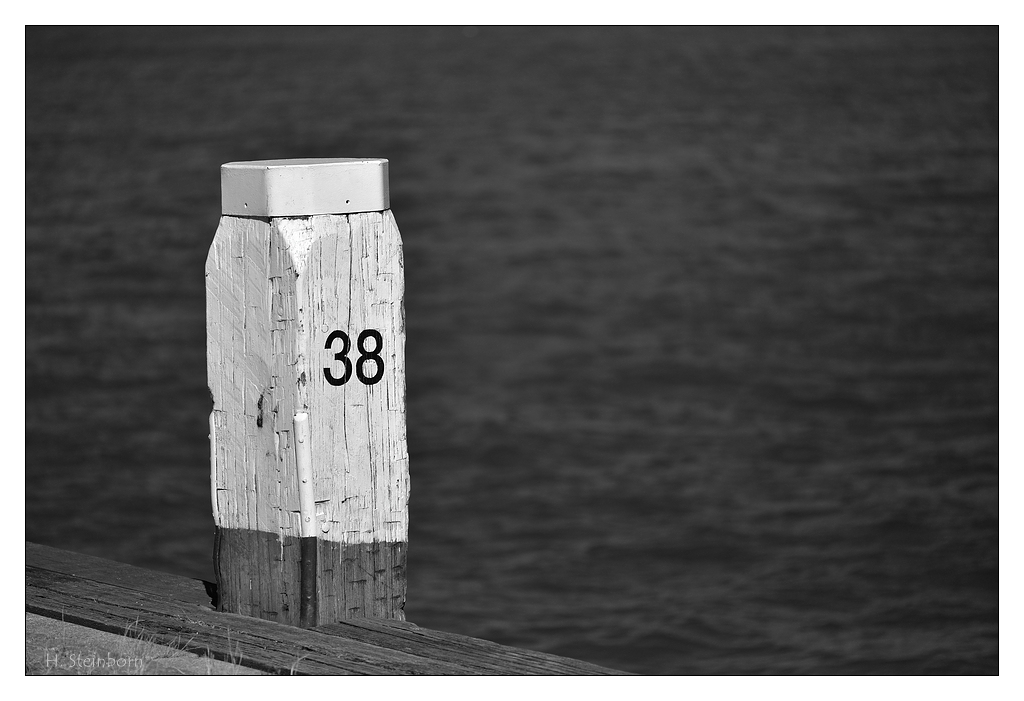 Rotterdam 14