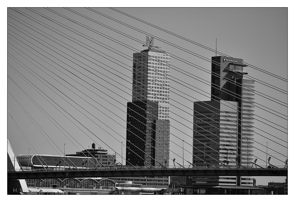 Rotterdam 15