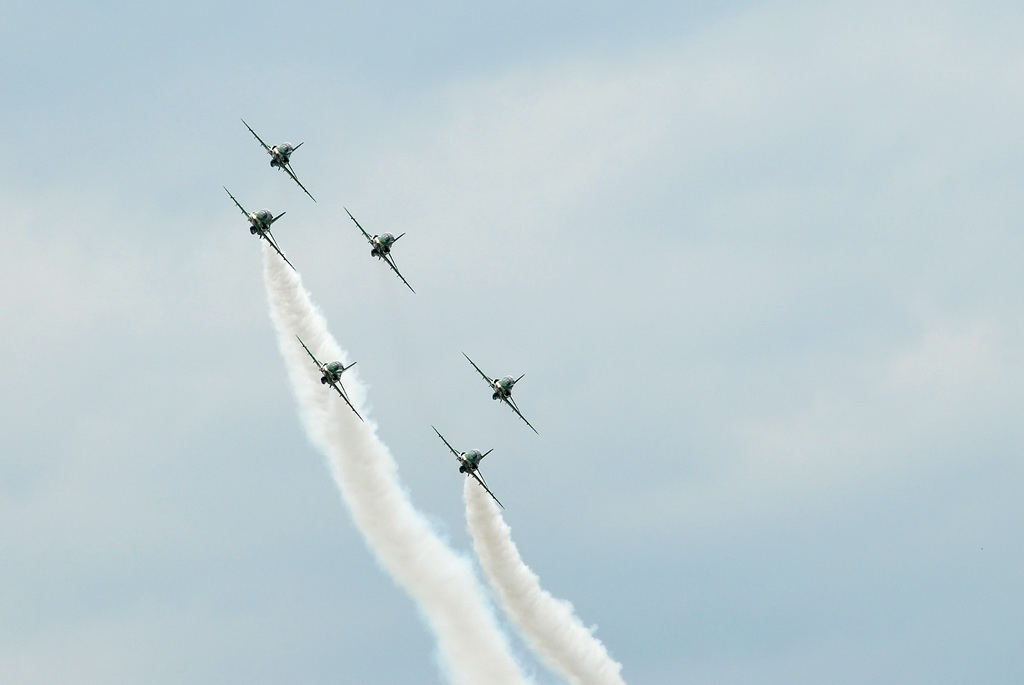 Royal Saudi Hawks 04