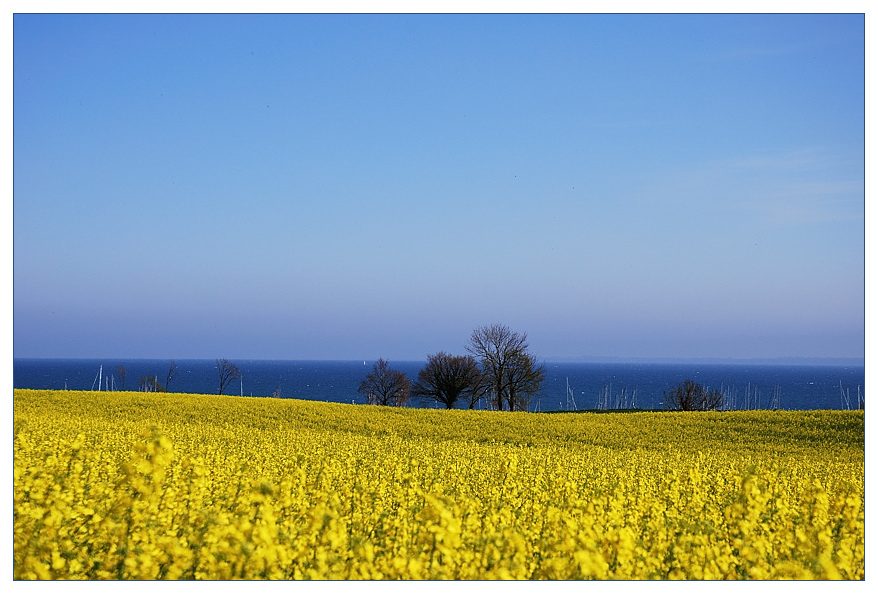 Rraps meer3