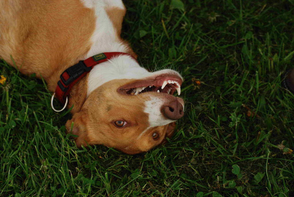 Ruby