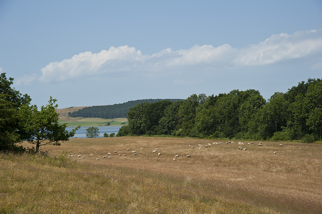 ruegen 09
