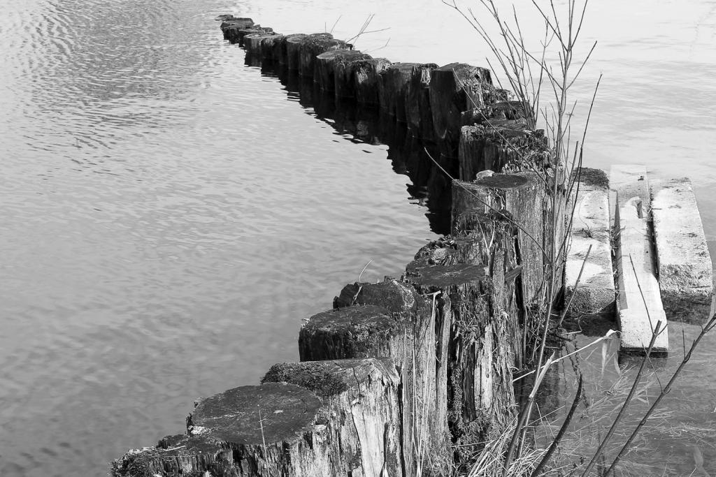 Ruhe am See