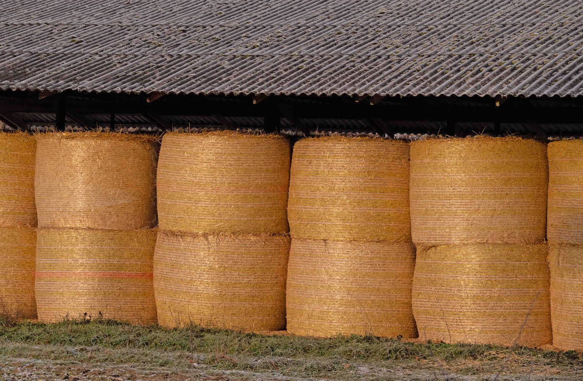 Rundballen.jpg