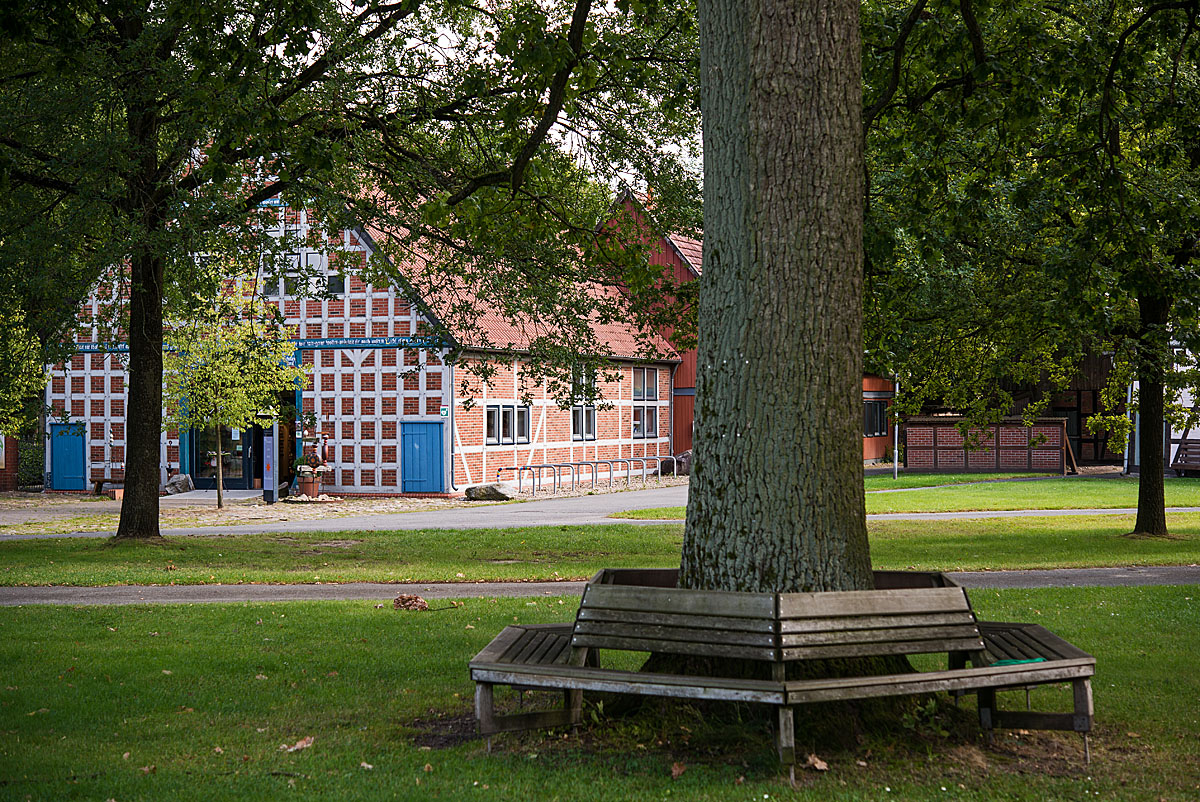 Rundlingsbank