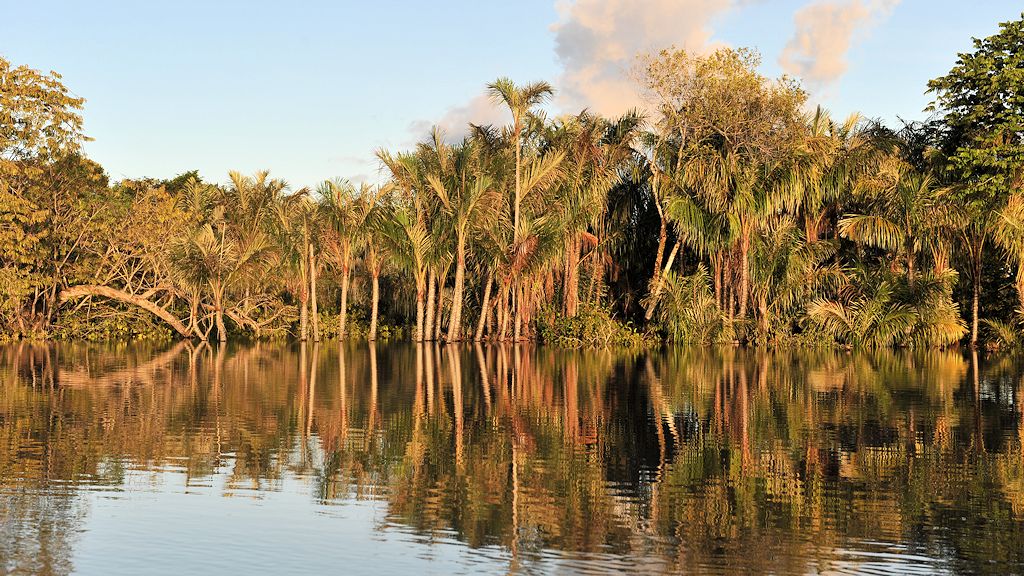 Rupununi
bei Karanambu
2700
