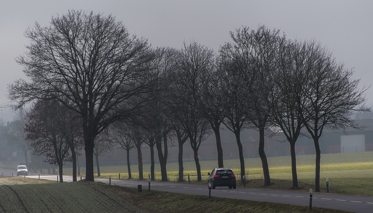 Rush-hour (1 von 1).JPG