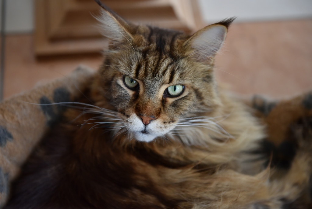 Rusty Nov2015