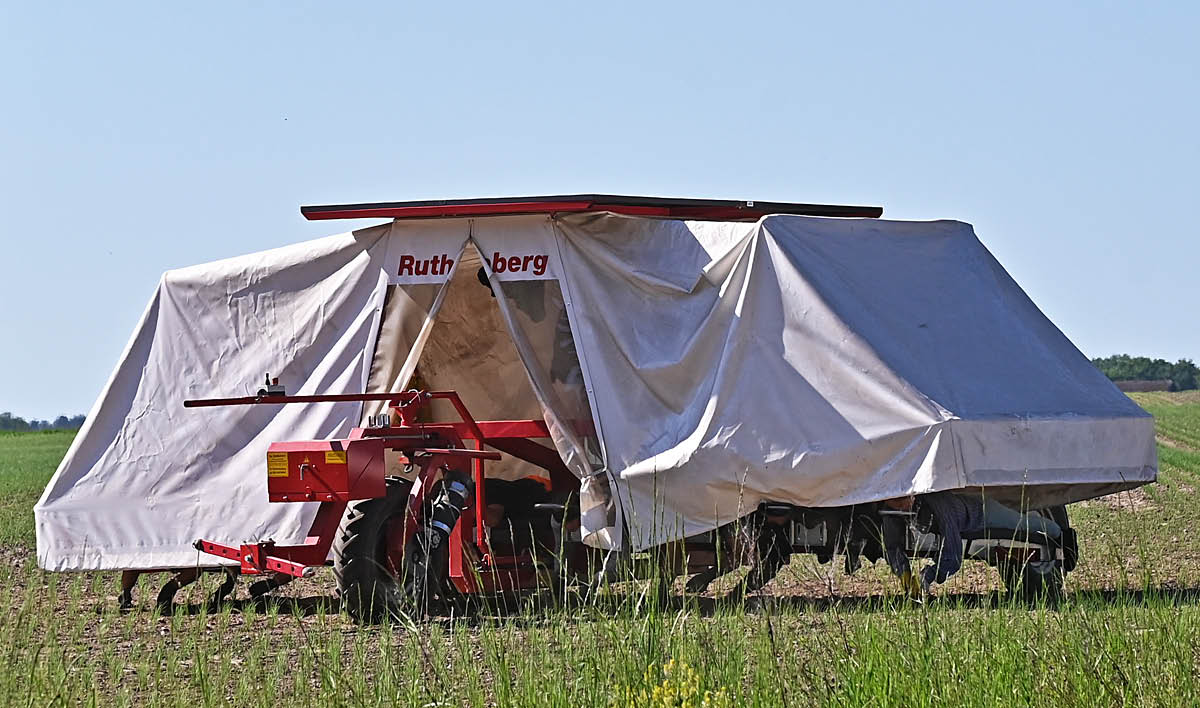 Ruthenberg Solar-Jäteflieger.jpg