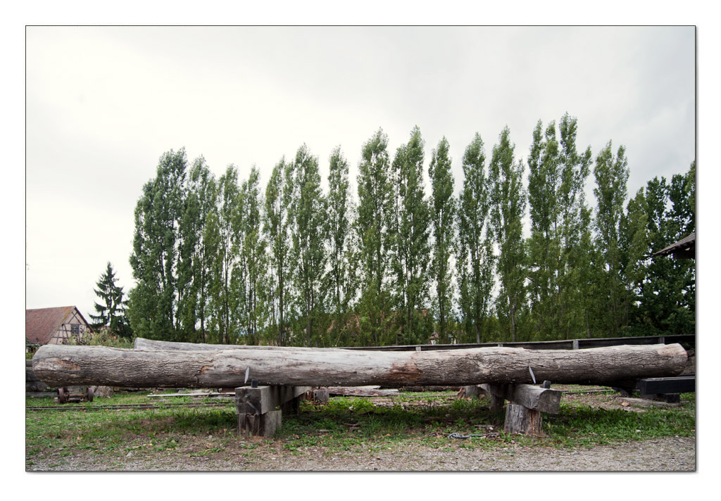 Sägewerk